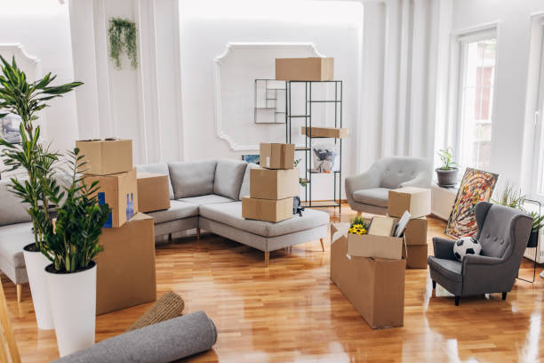 Home Removalists