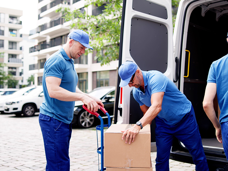 Removalist Carlton