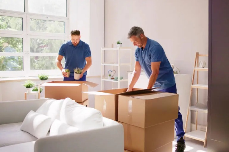 removalists melbourne